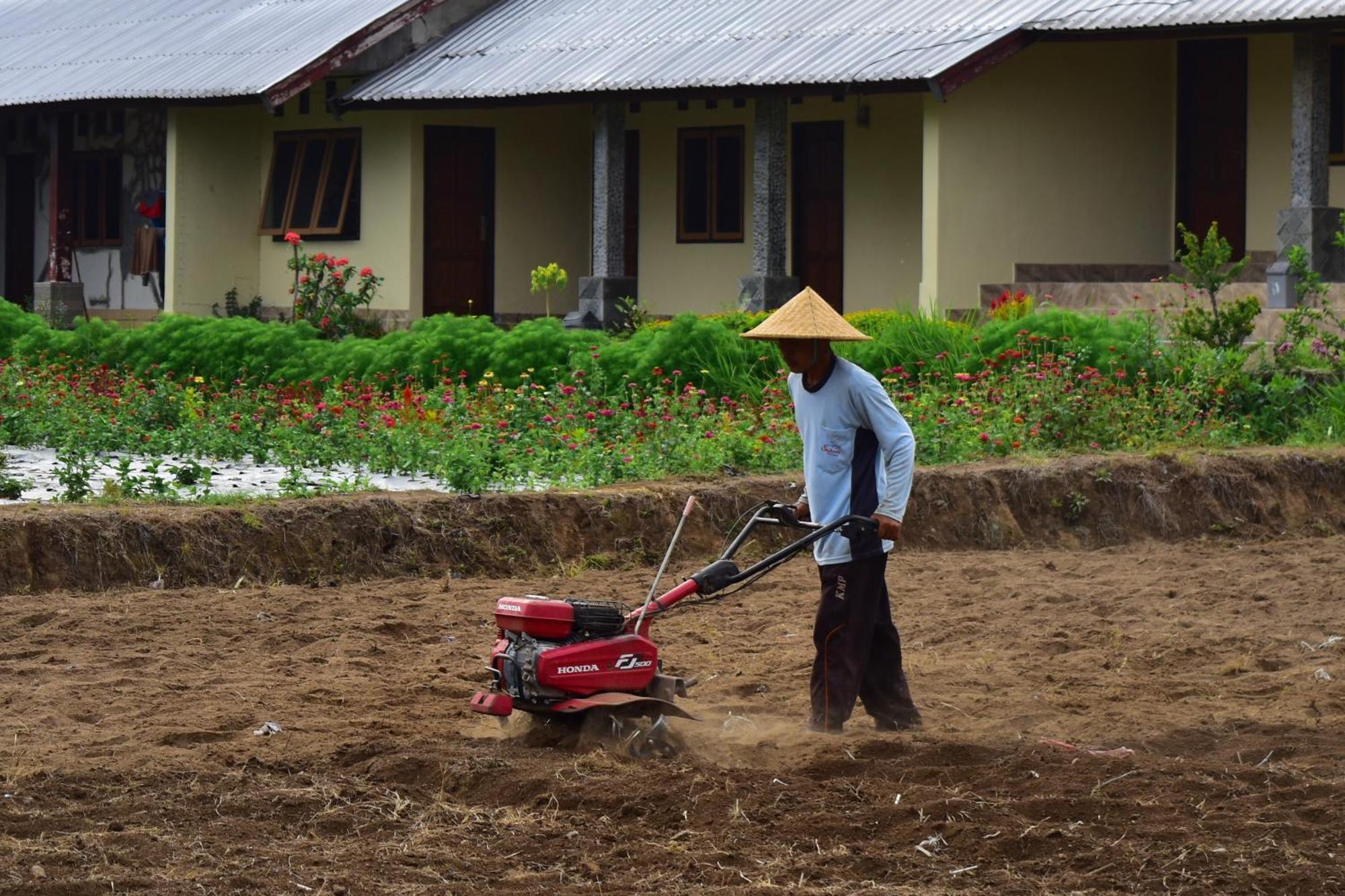Rautani Sembalun Appartement Sembalunlawang Buitenkant foto