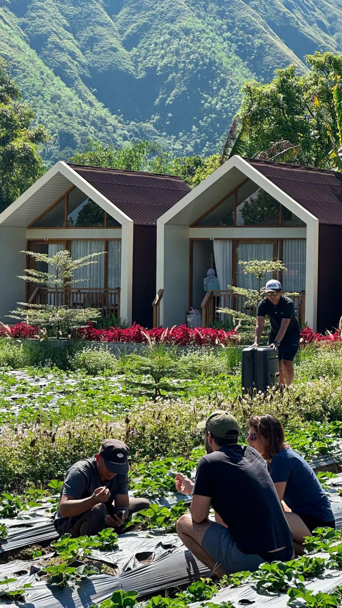 Rautani Sembalun Appartement Sembalunlawang Buitenkant foto